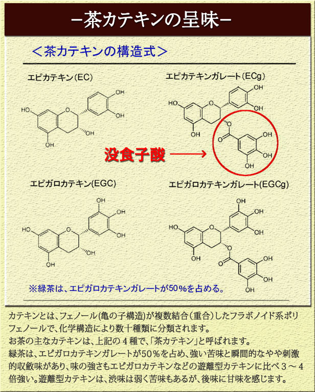 茶カテキン