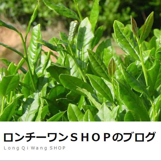 【WoldPressのロンチーワンＳＨＯＰのブログへリンクします。】
